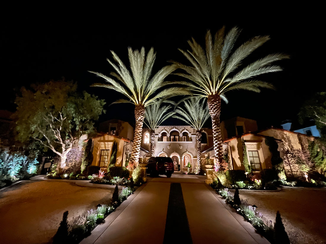 Light Up Your Landscape - Lumiere Lighting