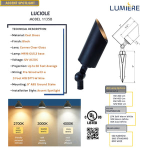Luciole Cast Brass Black Spot Light