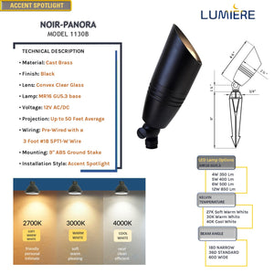 Panora Cast Brass Black Spot Light