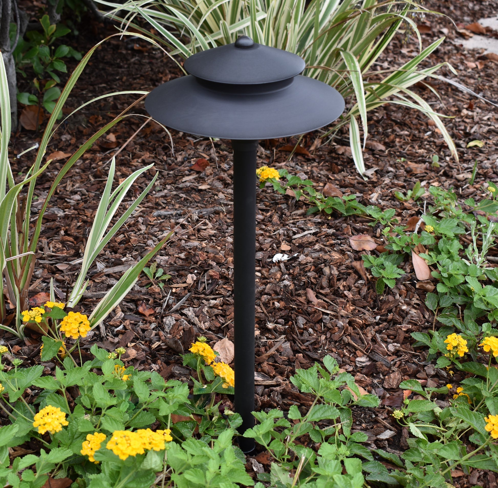 6 Pack Noir Spectra Solid Brass Spread Pathway Light - Professional Landscape Lighting - Lumiere Lighting