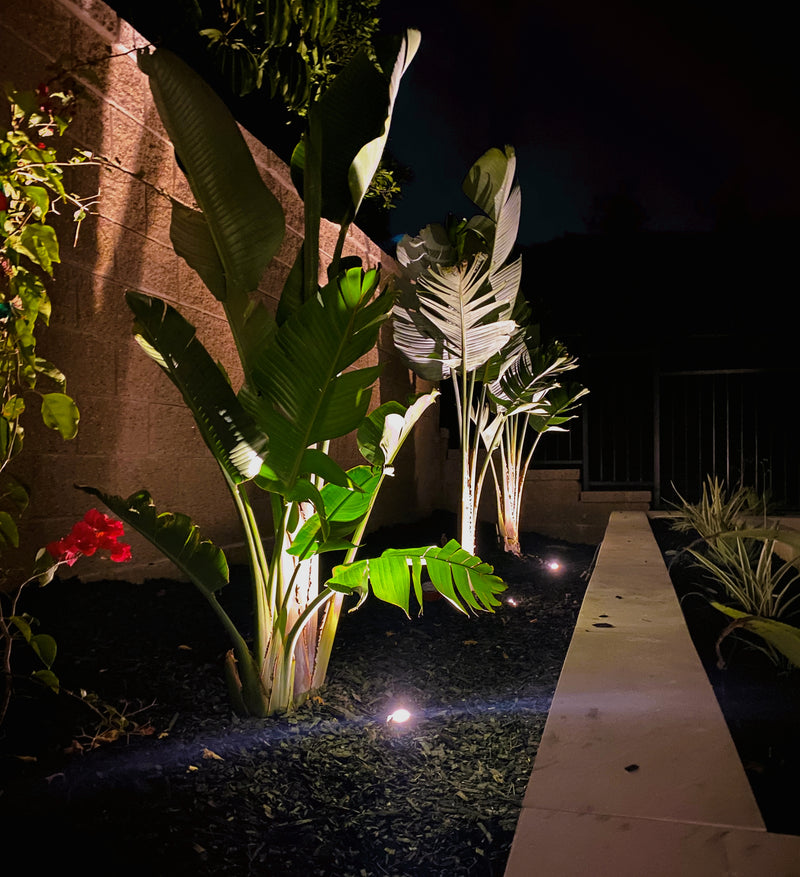 Noir MurPass Solid Brass Deck- In-Ground Light | Outdoor Landscape Lighting - Lumiere Lighting