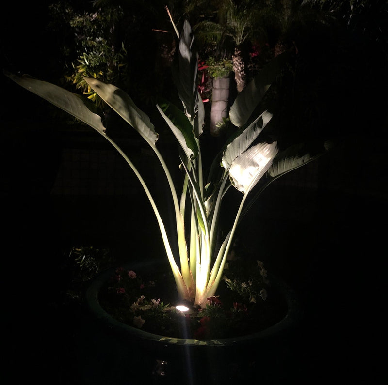 Noir MurPass Solid Brass Deck- In-Ground Light | Outdoor Landscape Lighting - Lumiere Lighting