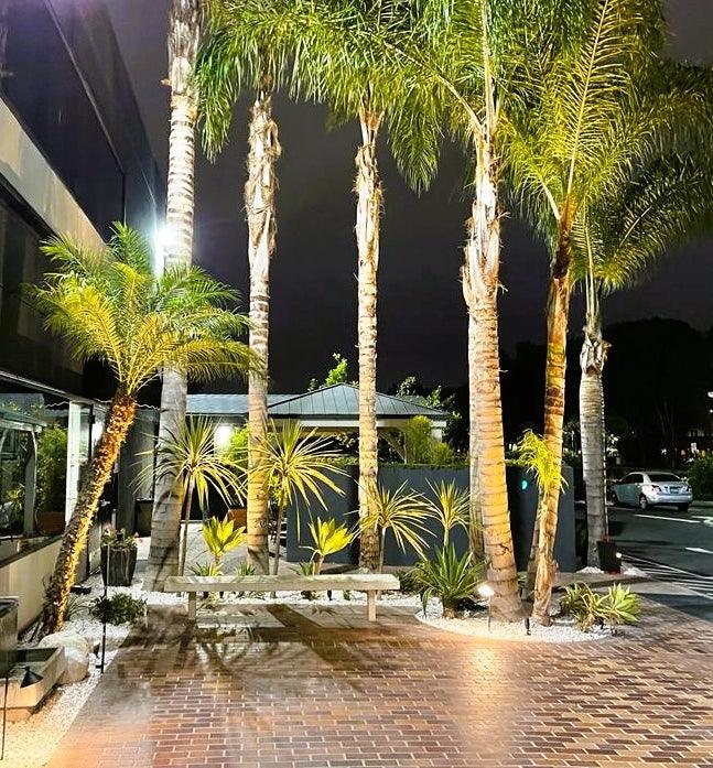 12 Pack Nouve Elysee Solid Brass Spot Lighting Kit - Lumiere Lighting