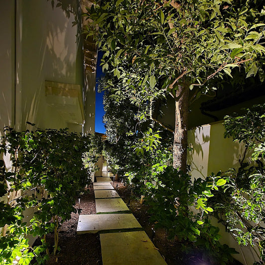 Outdoor Landscape Spot Lights for Contractors | Lumiere Lighting