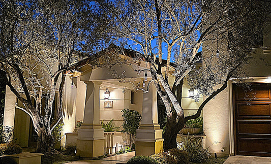 How to Use Spotlights to Highlight Your Landscape