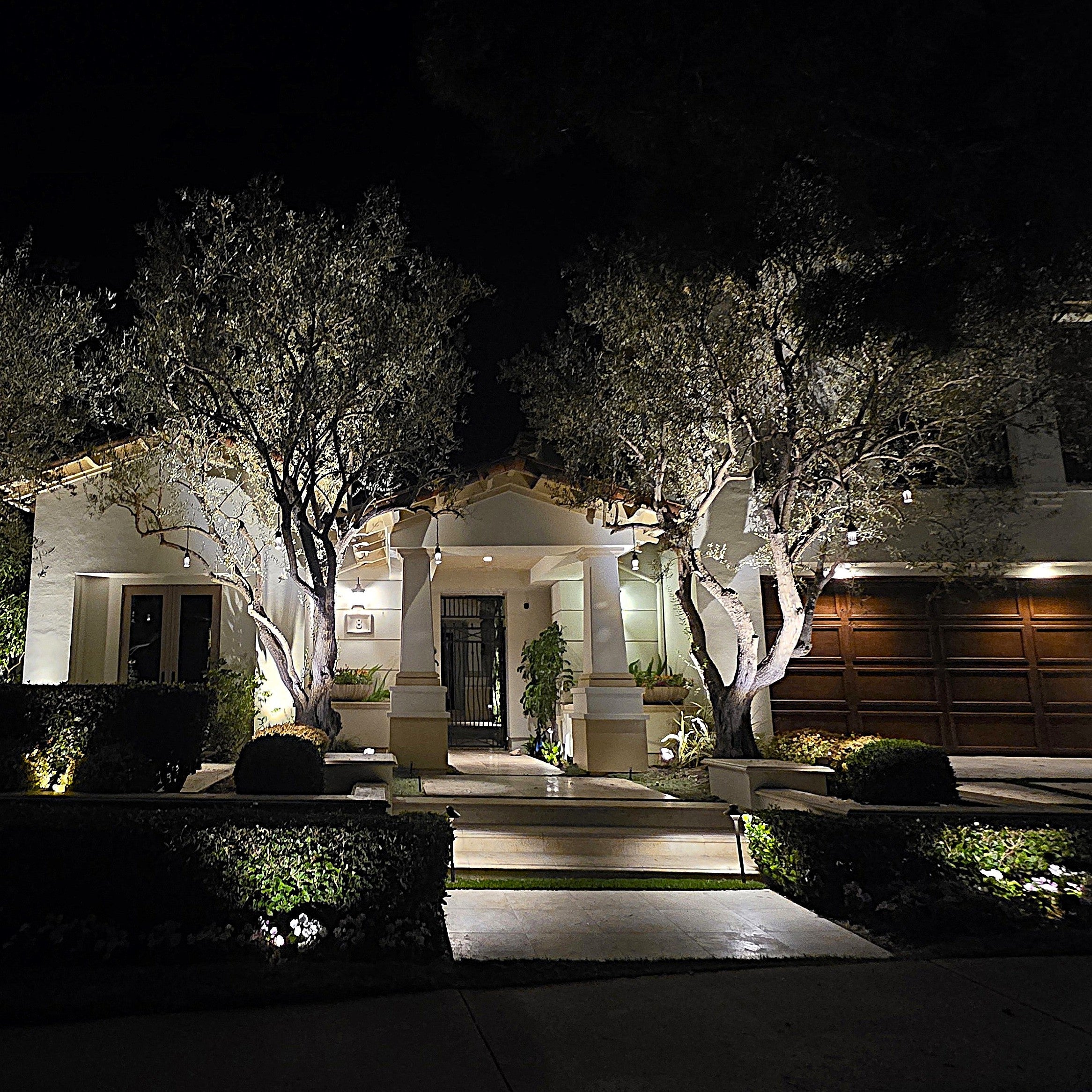 Night view of front porch with solid brass pathway and spotlight lighting illuminating trees and steps.