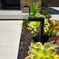 Persee Cast Brass Contemporary Path Light Outdoor Landscape Lighting by Lumiere Lighting / Premium Outdoor Lighting