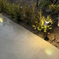 Ange Solid Brass Pathway Light Gun Metal Black