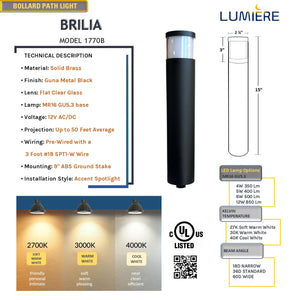 Brilia Cast Brass Black Bollard Pathway Light