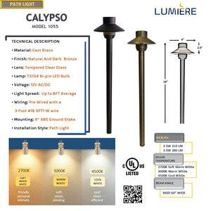 Calypso  Solid Cast Brass Pathway Light Antique Bronze & Dark Bronze