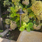 4 Pack Noir Cascade Solid Cast Brass Pathway Light - Architectural Landscape Lighting