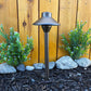 Cascade Cast Brass Path Light, solid brass outdoor landscape lighting for garden paths beside shrubs and wood fence.