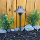 Cascade Cast Brass Path Light outdoor landscape lighting along walkway beside a wooden fence with blue flowers.