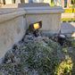 Chateau Cast Brass Mini Flood Light w/ Light Panel