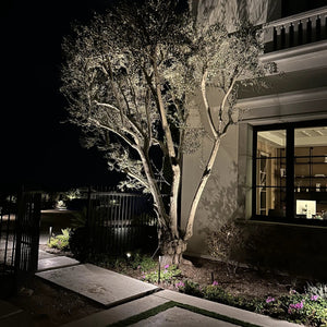 Panora Cast Brass Directional Spotlight For Outdoor Low Voltage Lighting by Lumiere Lighting