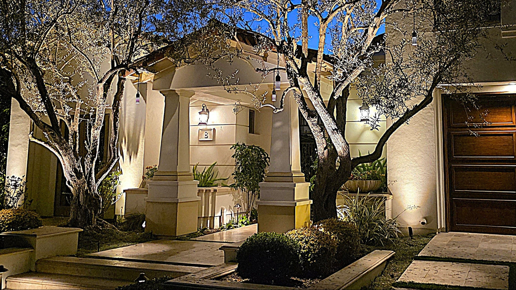 Elegant house exterior with trees and lighting at night