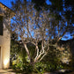 LaGarde Solid Cast Brass Flood Light Natural bronze