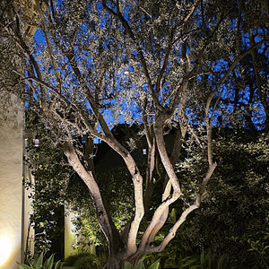 Suspendu Low Voltage LED Brass Pedant-Hanging Light