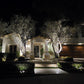Orage Cast Brass Natural Bronze Spot Light