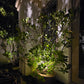 Panora Cast Brass Black Spot Light