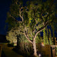 12 Pack Finesse LED Solid Cast Brass Directional  Spot Light Complete Kit - Landscape Lighting