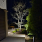 Noir Panora Solid Cast Brass Directional Spot Light - Black