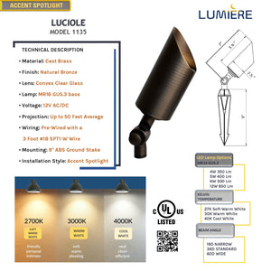 Luciole Cast Brass Natural Bronze Spot Light