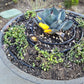 Luffa Louvered Solid Cast Brass Mini In-ground / Deck / Recessed Light