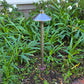 Chapelle Cast Brass Path Light Natural Bronze