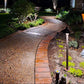Winding garden path with decorative stones and lighting fixtures in a well-maintained garden.