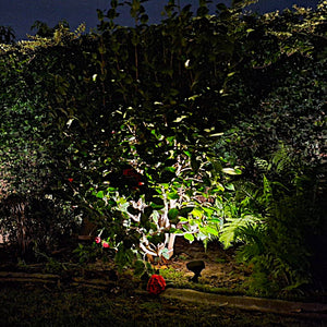 Ovale Solid Cast Brass Flood Light Black