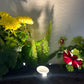 Noir Marais Black Cast Brass In-ground Well Light