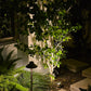 Marais Cast Brass In-ground Well Light