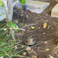 Marais Cast Brass In-ground Well Light