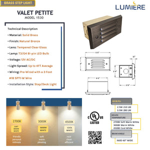 Valet Petite LED Brass Step Light Natural Bronze