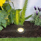 Noir Palomer Cast Brass Black In-Ground Well Light