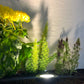 Palomer Solid Cast Brass Natural Bronze In-ground Well Light