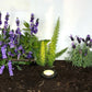 Noir Palomer Cast Brass Black In-Ground Well Light