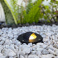 Demi Lune Cast Brass Black In-ground Well Light