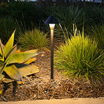 Olympique Cast Brass Path Light Outdoor Landscape Lighting by Lumiere Lighting