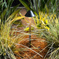 Olympique Cast Brass Path Light Outdoor Landscape Lighting
