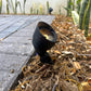 Ovale Solid Cast Brass Flood Light Natural Bronze