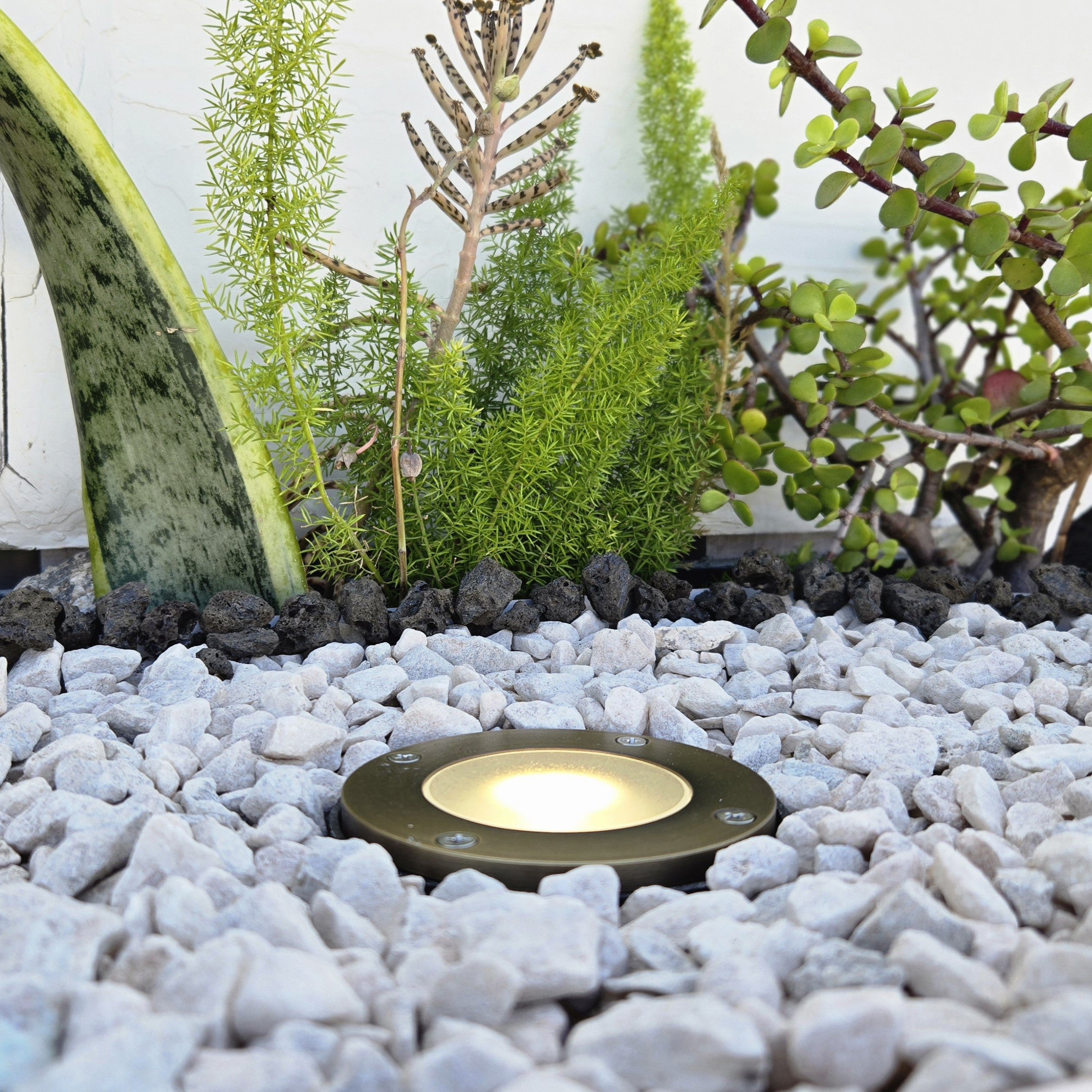 1-Light Stainless Steel Die Cast Brass Well Light