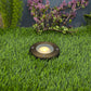 Palomer Cast Brass In-Ground Well Light