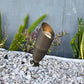 4 Pack Panora Cast Brass Natural Bronze Spot Light