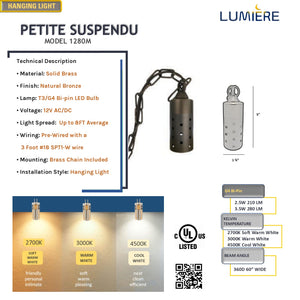 Petite Suspendu Cast Brass Pedant-Hanging Light by Lumiere Lighting