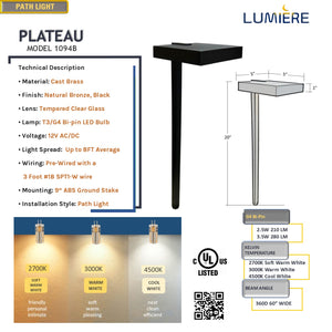 Plateau Cast Brass Black Path Light