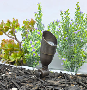 Poisson Cast Brass Natural Bronze Mini Spot Light