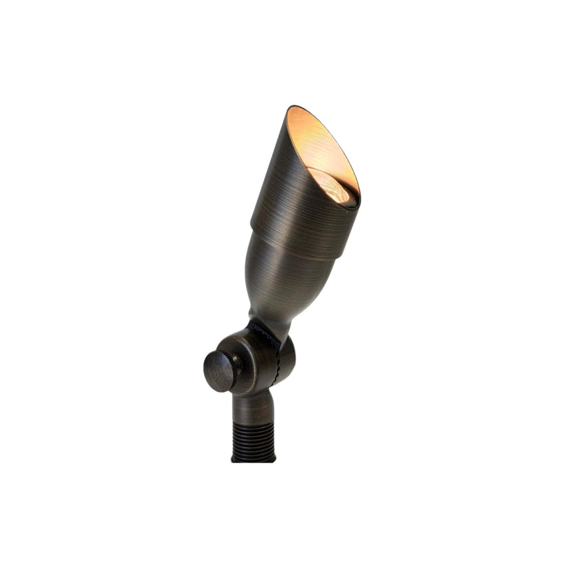 Poisson Cast Brass Natural Bronze Mini Spot Light