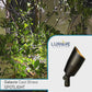 Galaxie Cast Brass Directional Spotlight For Outdoor Low Voltage Lighting